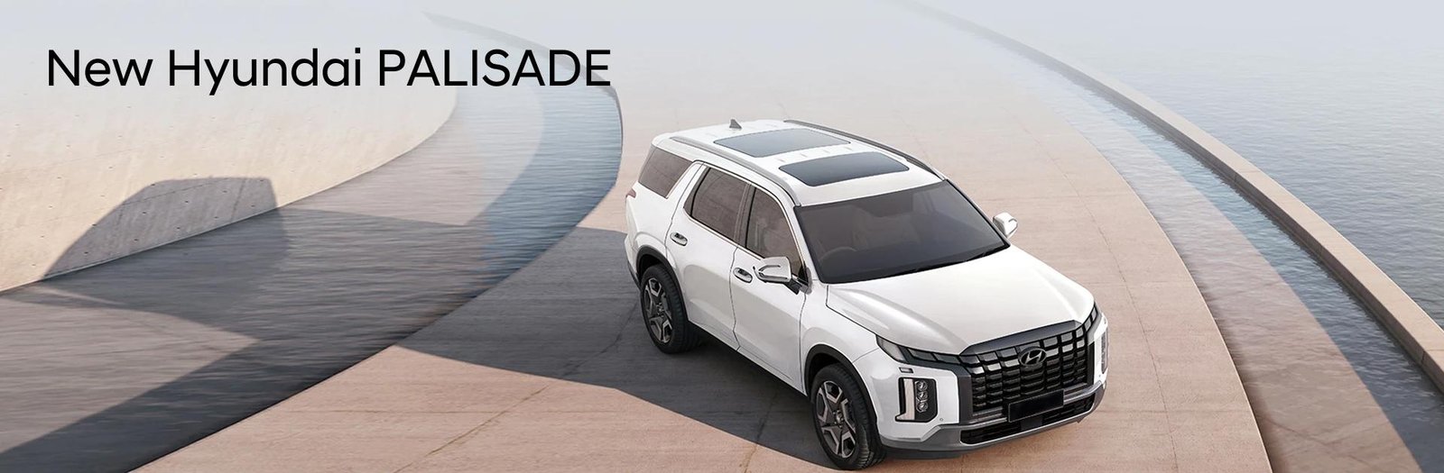 Hyundai Palisade Banner